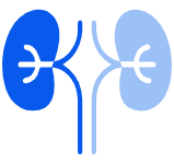 Nephrology